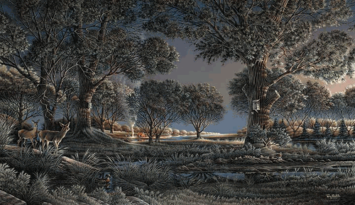 (image for) Camping on Sunset Point